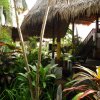 Bali Tropic Resort & Spa (17)